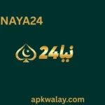 NAYA 24 Game